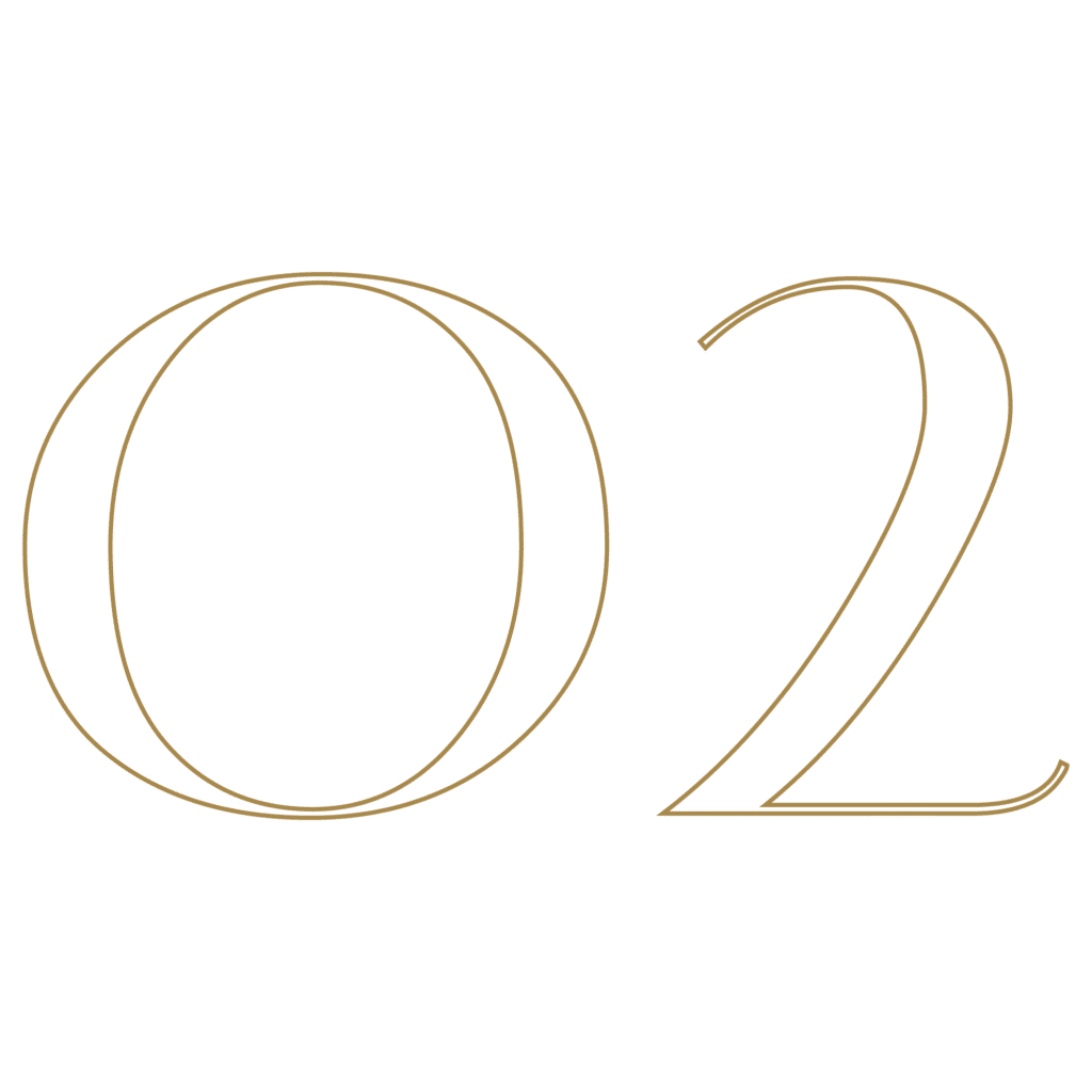 Step 02 premium listings icon