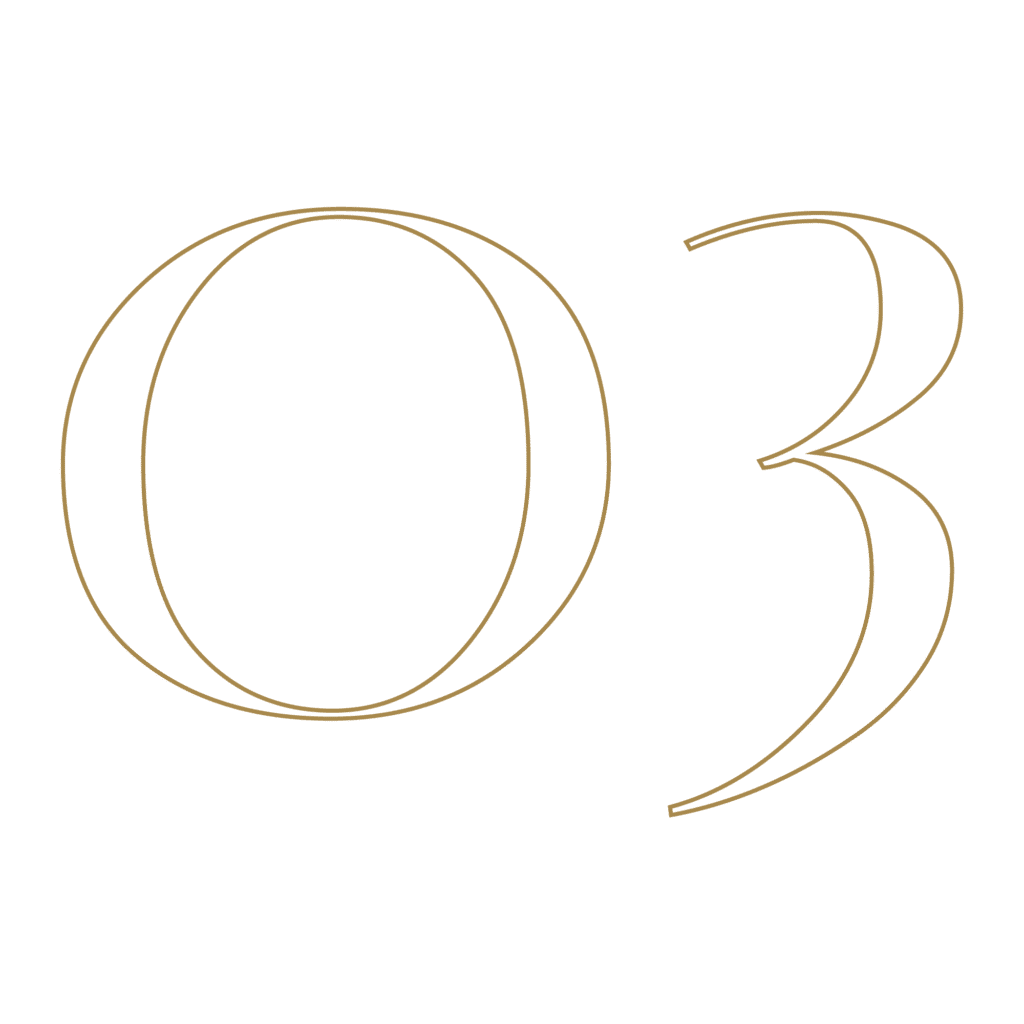 Step 03 confidential service icon